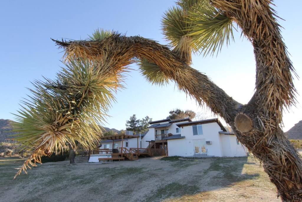 Joshua Tree'S Highland Hideaway Compound Villa Exterior photo